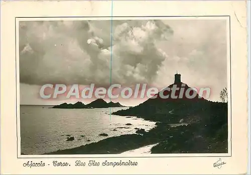 Cartes postales moderne Ajaccio Corse les Iles Sanguinaires