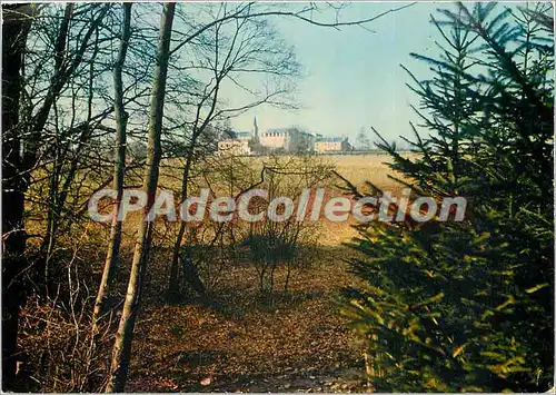 Cartes postales moderne Realite d'Ardenne Printemps des Huts Buttes