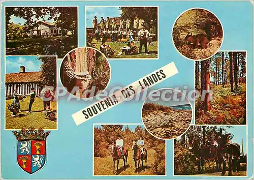 Cartes postales moderne Les Landes Pittoresques