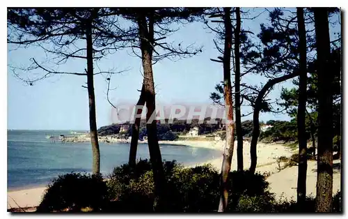 Cartes postales Saint Palais sur Mer La Plage du Platin