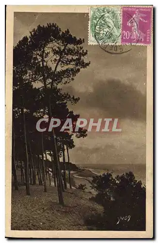 Cartes postales Les Charmes de la Cote d'Argent Mer et foret