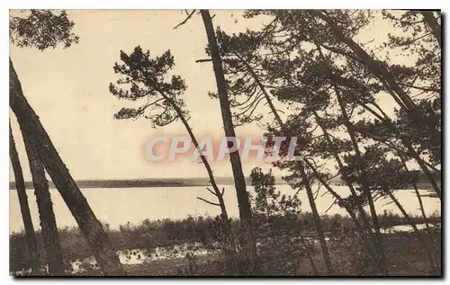 Cartes postales Dans les landes des Gascogne