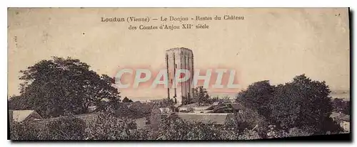 Cartes postales Loudun Vienne Le Donjon Restes du Chateau