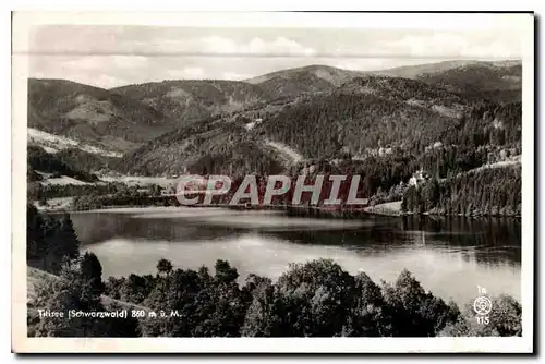 Cartes postales Titisee Schwarzwald