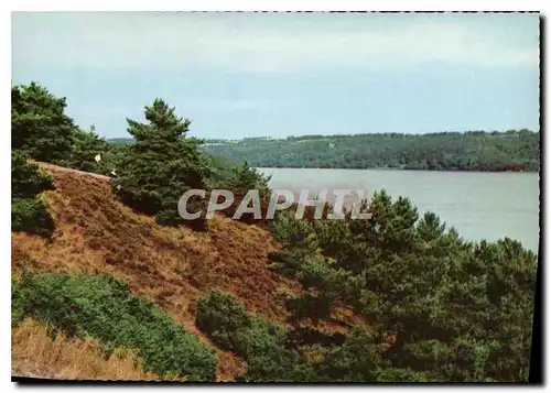 Cartes postales moderne Viborg Dollerup Hills