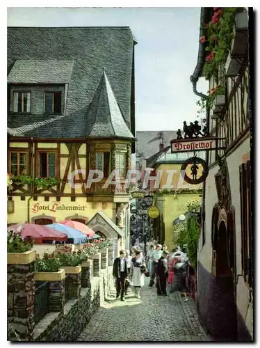 Cartes postales moderne Rodesheim Am Rhein