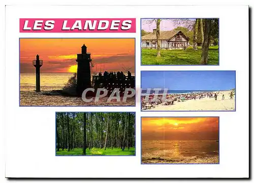 Cartes postales moderne Les Landes