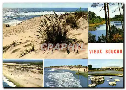 Cartes postales moderne Vieux Boucau Port d'Albert Landes