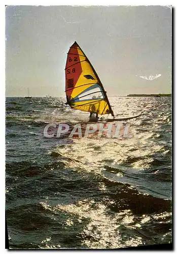 Cartes postales moderne Contre Jour Planche a voile