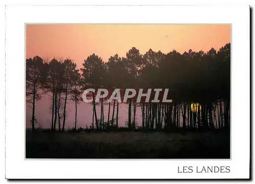 Cartes postales moderne Visage des Landes