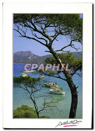 Cartes postales moderne Bateaux