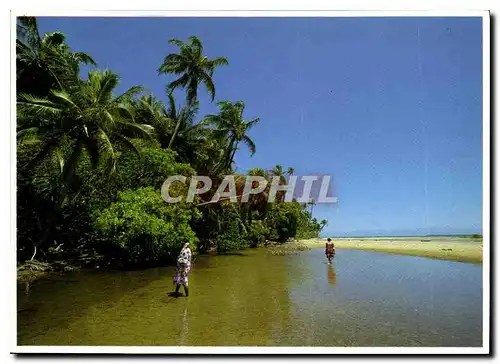 Cartes postales moderne Paysage de la cote est