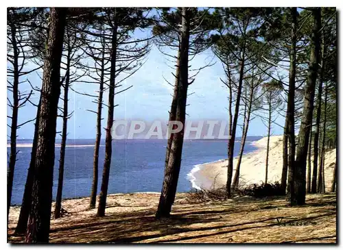 Cartes postales moderne Visage des Landes Bord de Mer