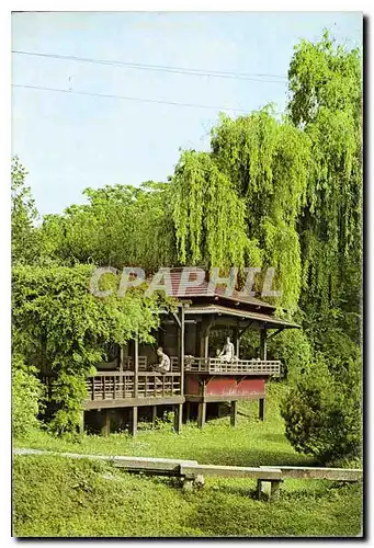 Cartes postales moderne Romania Cluj Napoca