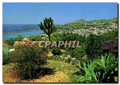 Cartes postales moderne Funchal Madeira Vue Occidentale