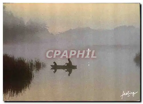 Cartes postales moderne Le fil de l'eau Peche Pecheur Chien