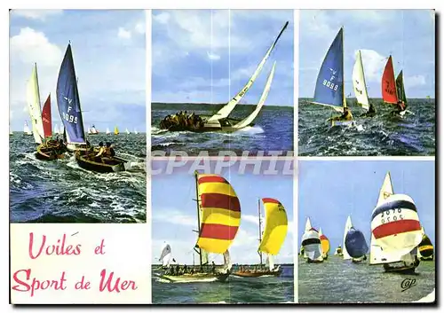 Cartes postales moderne Voiles et Sport de Mer Bateaux