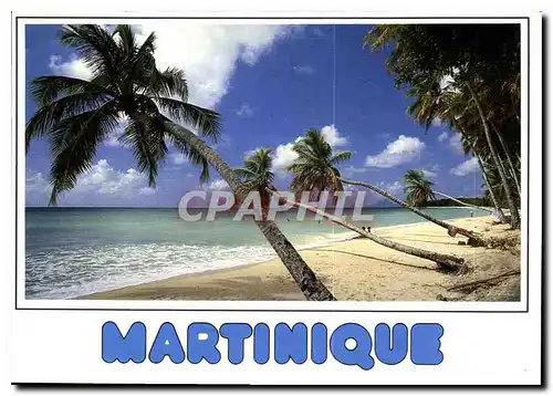 Cartes postales moderne Il etait une fois la Martinique Plage des Salines