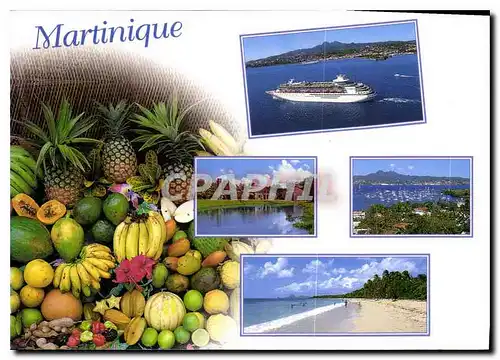 Cartes postales moderne Martinique