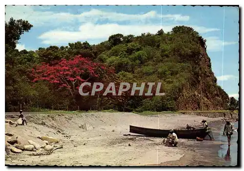 Cartes postales moderne Ile de la Martinique Retour de Pecheur