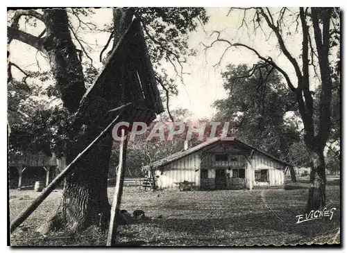 Cartes postales moderne En Guyenne Gascogne La Maison Landaise et son poulaliller