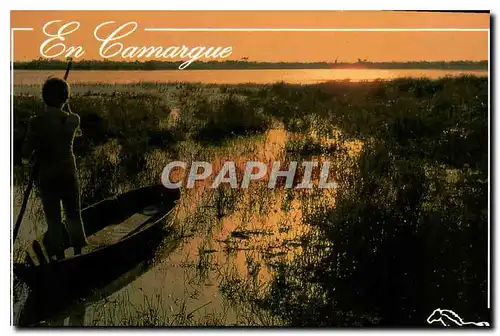 Cartes postales moderne En Camargue L'Etang de Vaccares