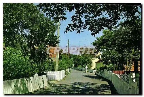 Cartes postales moderne Street in Skagen