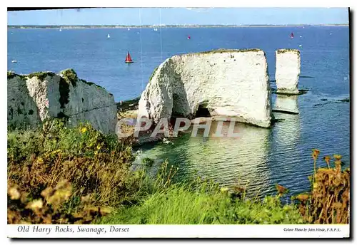 Cartes postales moderne Old Harry Rocks Swanage Dorset