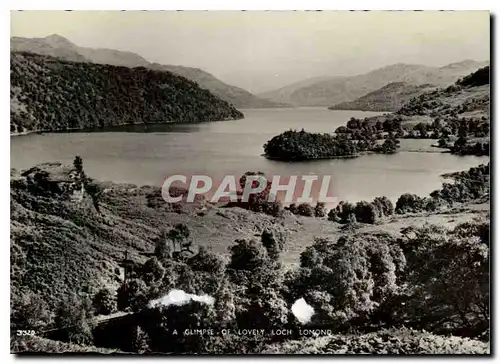 Cartes postales moderne A glimpse of lovely loch Lomond