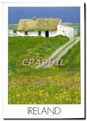 Cartes postales moderne Ireland