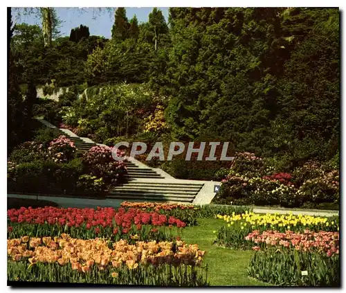 Cartes postales moderne Insel Mainau im Bodensee Ufergartem mit Tulpen und Rhododendron Treppe Chemins de Fer en lignes