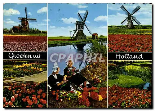 Cartes postales moderne Groeten uit Holland