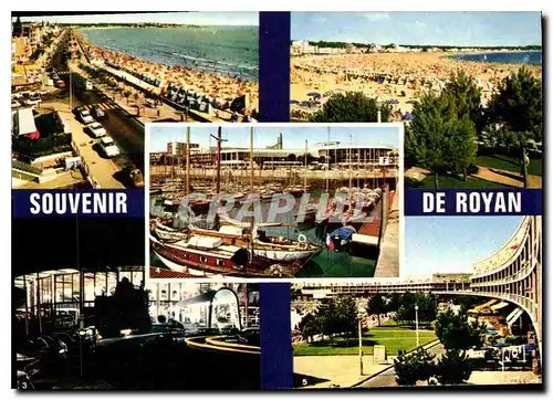 Cartes postales moderne La Cote de Beaute Royan Charente Maritime