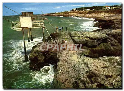 Cartes postales moderne La Cote de Beaute Saint Palais sur Mer La Grande Cote