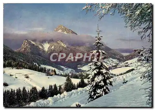 Cartes postales moderne Paysage hivernal