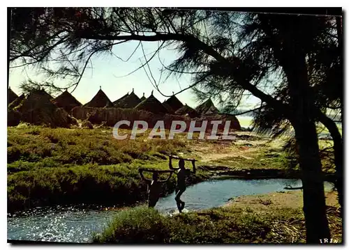 Cartes postales moderne Afrique en couleurs Village Africain