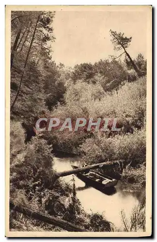 Cartes postales Les Landes De Gascogne Le courant d'Huchet