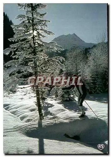 Cartes postales moderne Image de nos montagnes en hiver Promenade en foret