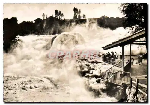 Cartes postales moderne Rheinfall mit Fishetz