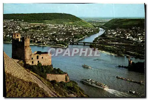 Cartes postales moderne Vue sur le Manoir Ehrenfels et Bingen