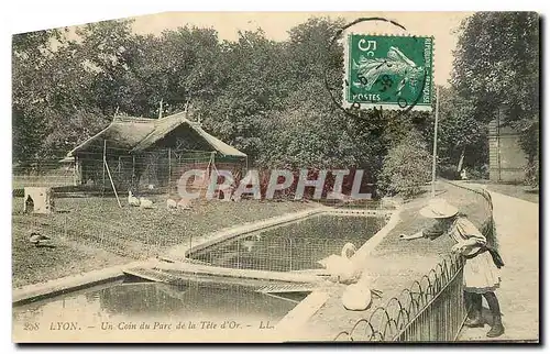 Cartes postales Lyon Un Coin du Parc de la Tete d'Or