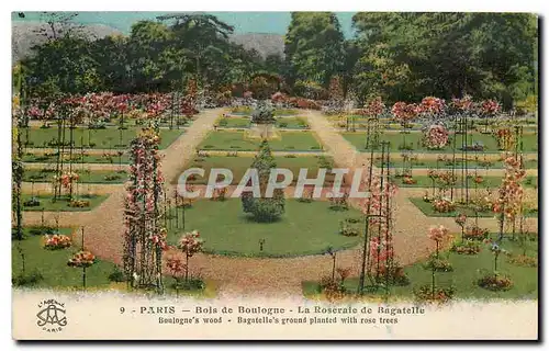 Cartes postales Paris Bois de Boulogne la Roseraie de Bagatelle