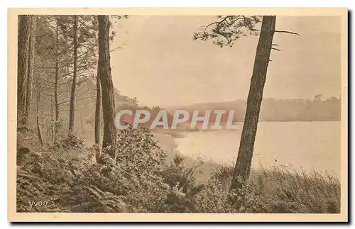 Cartes postales La Douce France les landes de Gascogne l'Etang de Laprade pres Moliets