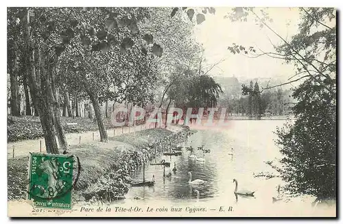 Cartes postales Lyon Parc de la tete d'Or Le coin aux Cygnes