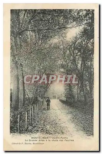 Cartes postales Montelimar Jardin Public La Grande Allee a la chute des Feuilles