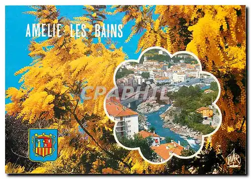 Cartes postales moderne Amelie les Bains Perle des Pyrenees