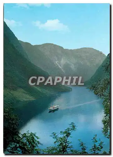 Cartes postales moderne Norway The Naeroy Fjord Sogn