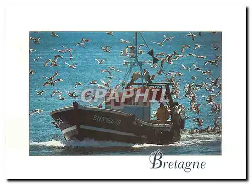 Cartes postales moderne Couleurs de Bretagne Retour de peche