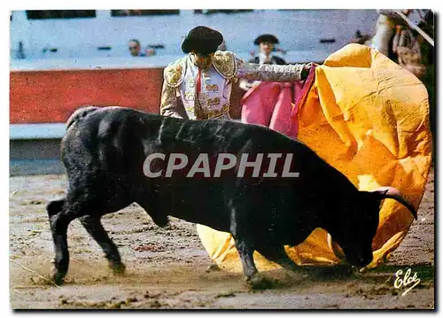 Cartes postales moderne La Course de Taureaux Travail de Cape La Veronique