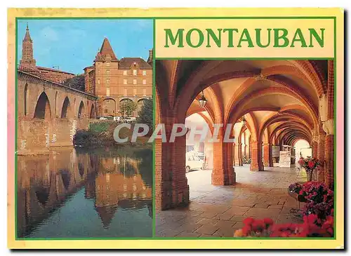 Cartes postales moderne Montauban Tarn et Garonne Le Musee Ingres La Place Nationale